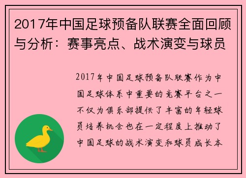 2017年中国足球预备队联赛全面回顾与分析：赛事亮点、战术演变与球员成长